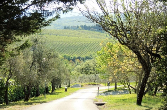 zobacz camping - zdjęcie 9