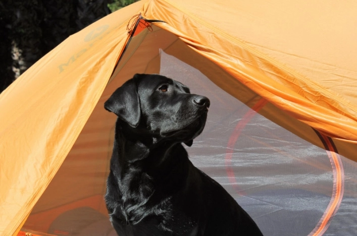 zobacz camping - zdjęcie 4