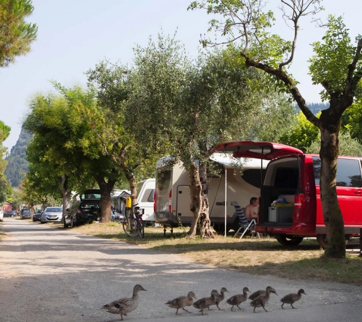 zobacz camping - zdjęcie 18