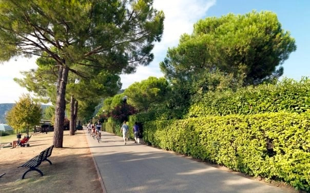 zobacz camping - zdjęcie 13