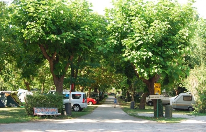 zobacz camping - zdjęcie 17