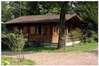 zobacz camping - zdjęcie 11