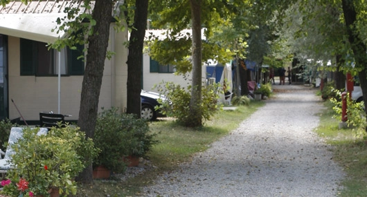 zobacz camping - zdjęcie 8