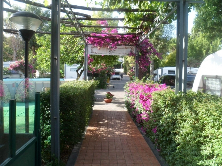 zobacz camping - zdjęcie 16