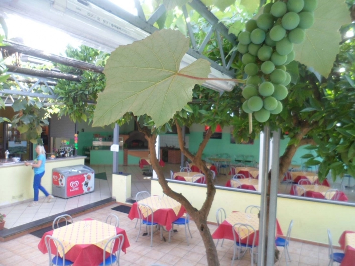 zobacz camping - zdjęcie 10