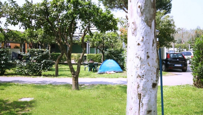 zobacz camping - zdjęcie 6