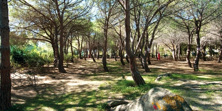 zobacz camping - zdjęcie 29