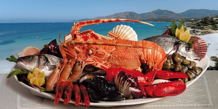 zobacz camping - zdjęcie 25