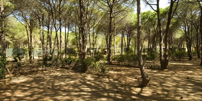 zobacz camping - zdjęcie 22