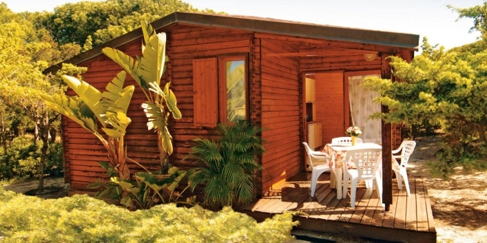 zobacz camping - zdjęcie 20