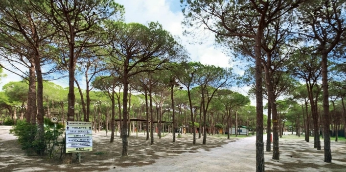 zobacz camping - zdjęcie 16