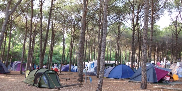 zobacz camping - zdjęcie 30