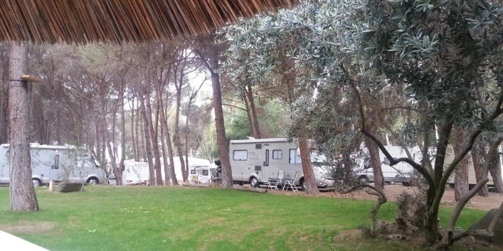 zobacz camping - zdjęcie 28