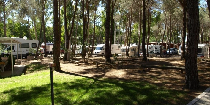zobacz camping - zdjęcie 26