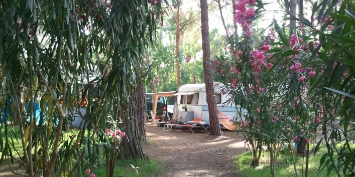 zobacz camping - zdjęcie 22