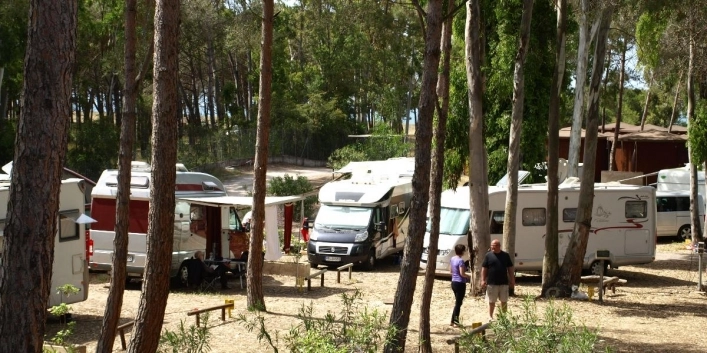 zobacz camping - zdjęcie 17