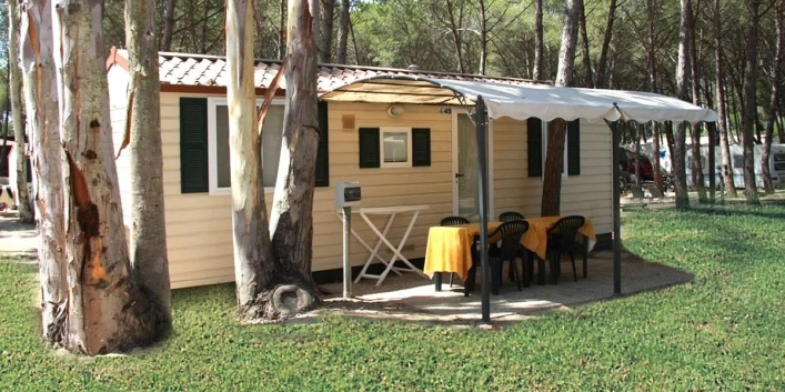 zobacz camping - zdjęcie 15