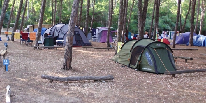zobacz camping - zdjęcie 11