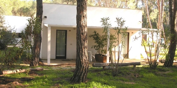 zobacz camping - zdjęcie 9