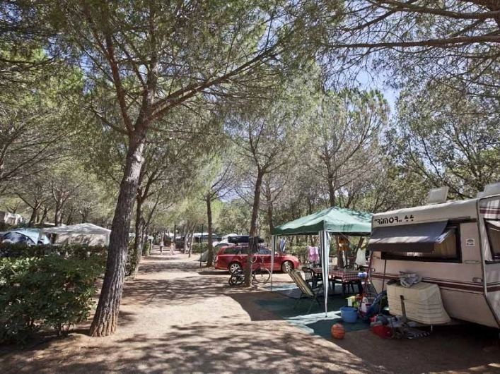 zobacz camping - zdjęcie 28