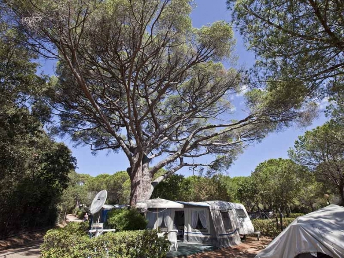 zobacz camping - zdjęcie 26