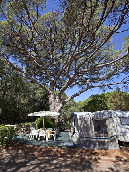 zobacz camping - zdjęcie 24