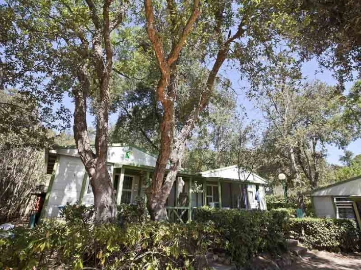 zobacz camping - zdjęcie 18