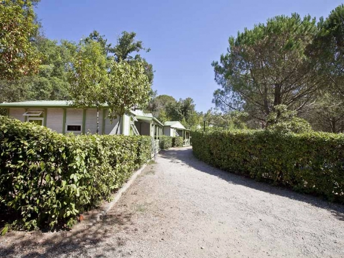 zobacz camping - zdjęcie 16