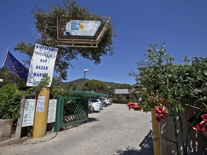 zobacz camping - zdjęcie 15