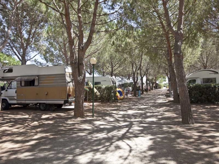 zobacz camping - zdjęcie 13