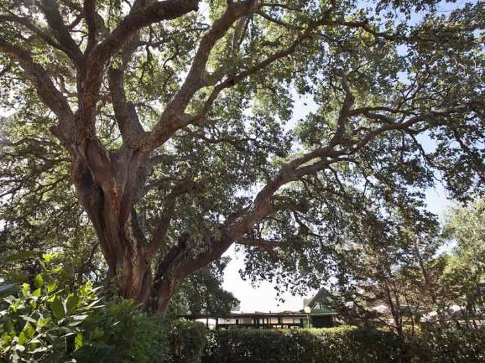 zobacz camping - zdjęcie 12