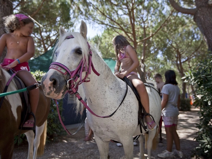 zobacz camping - zdjęcie 11