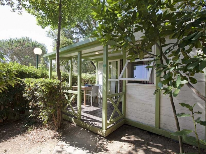 zobacz camping - zdjęcie 9