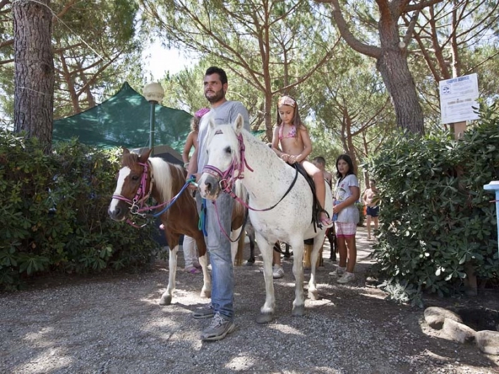 zobacz camping - zdjęcie 7