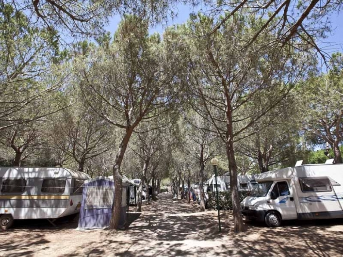 zobacz camping - zdjęcie 6