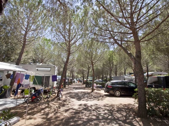 zobacz camping - zdjęcie 2