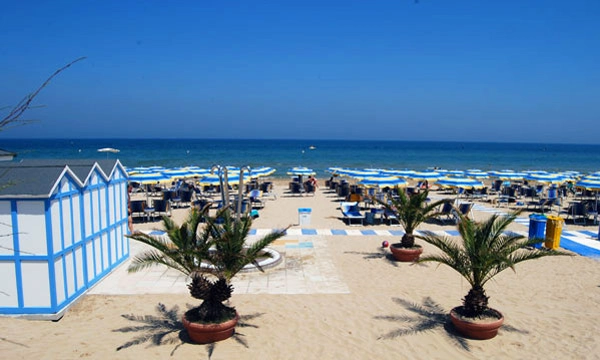 zobacz camping - zdjęcie 14