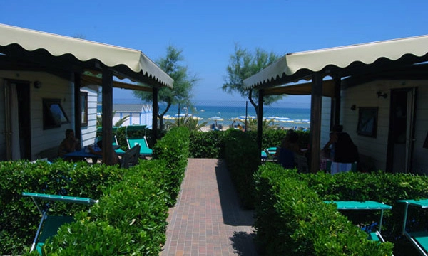 zobacz camping - zdjęcie 13