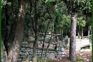 zobacz camping - zdjęcie 7