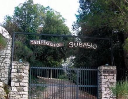 Campeggio Subasio - zdjęcie 3