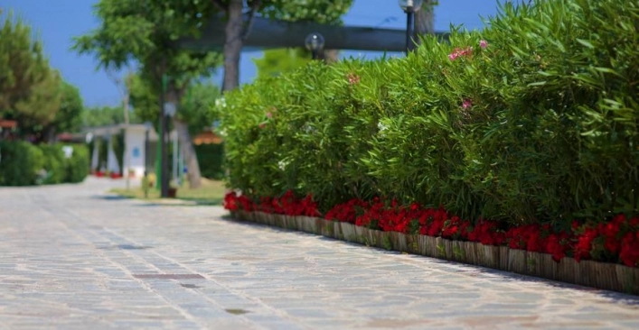 zobacz camping - zdjęcie 16