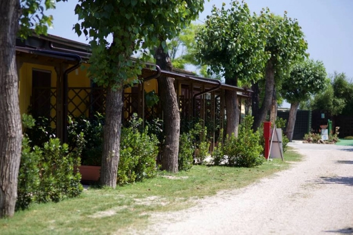 zobacz camping - zdjęcie 5