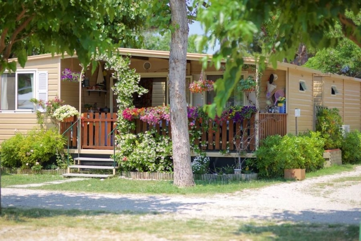 zobacz camping - zdjęcie 4