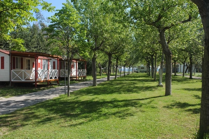 zobacz camping - zdjęcie 19