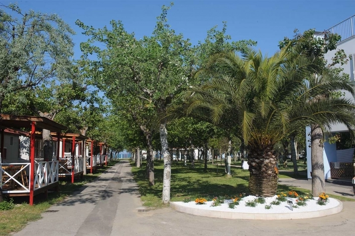 zobacz camping - zdjęcie 18