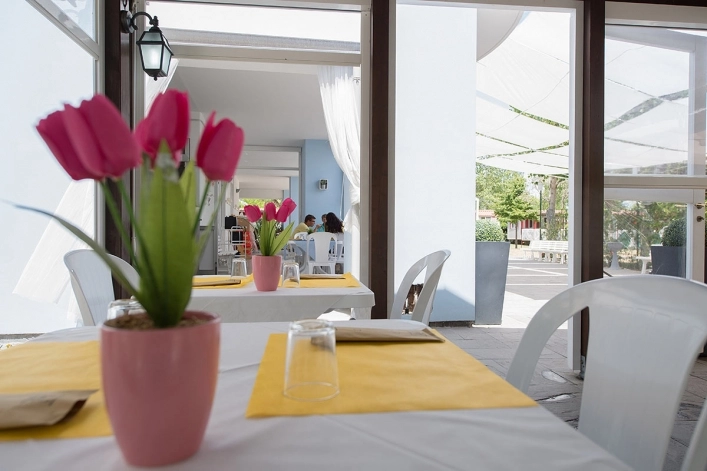 zobacz camping - zdjęcie 5