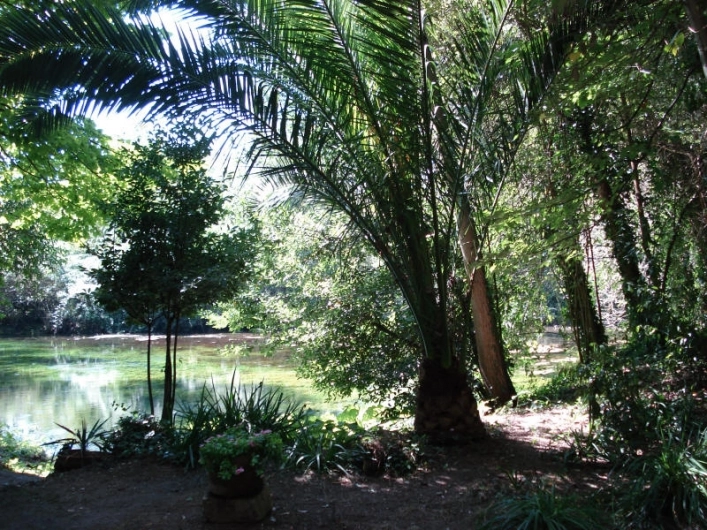 zobacz camping - zdjęcie 6