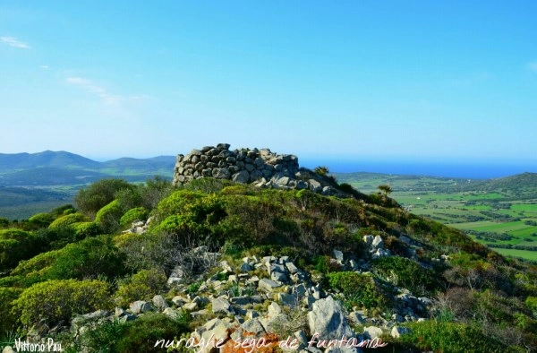 zobacz camping - zdjęcie 23