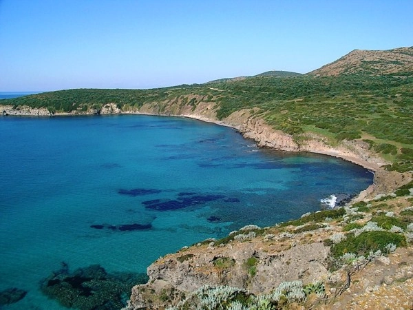 zobacz camping - zdjęcie 22