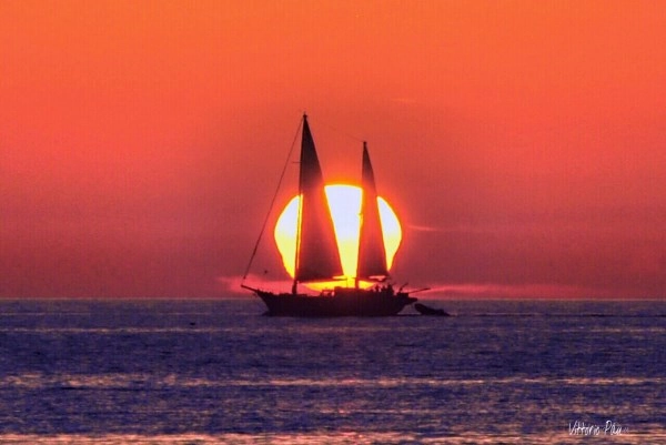 zobacz camping - zdjęcie 14